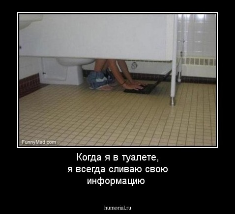 Когда я в туалете, я всегда сливаю свою информацию 