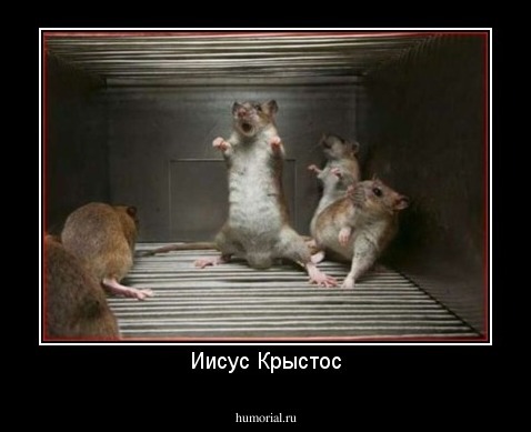 Иисус Крыстос