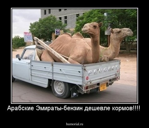 Арабские Эмираты-бензин дешевле кормов!!!!