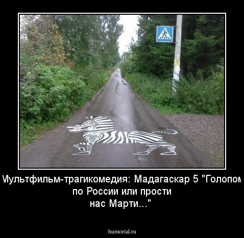 Мультфильм-трагикомедия: Мадагаскар 5 "Голопом по России или прости нас Марти..."