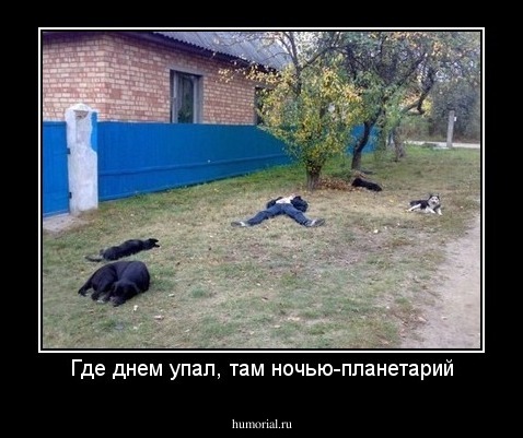 Где днем упал, там ночью-планетарий