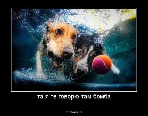 та я те говорю-там бомба
