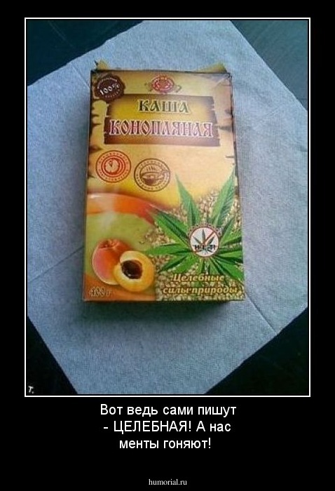 Вот ведь сами пишут - ЦЕЛЕБНАЯ! А нас менты гоняют!