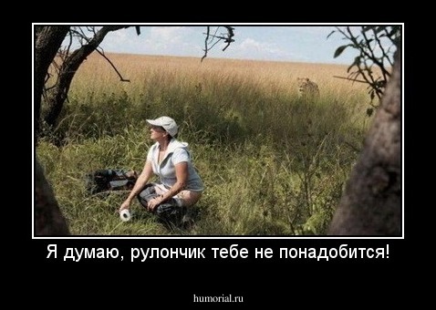 Я думаю, рулончик тебе не понадобится!