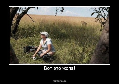 Вот это жопа!
