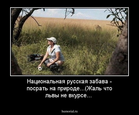 Национальная русская забава - посрать на природе...(Жаль что львы не вкурсе...