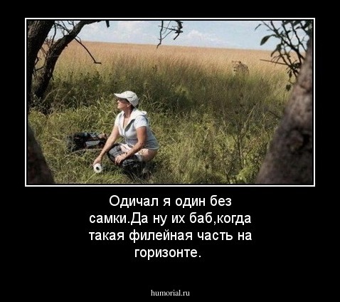 Одичал я  один без самки.Да ну их баб,когда такая филейная часть на горизонте.