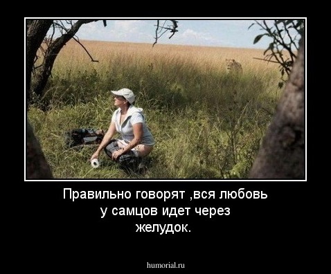 Правильно говорят ,вся любовь у самцов идет через желудок.