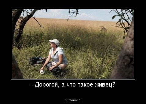 - Дорогой, а что такое живец?