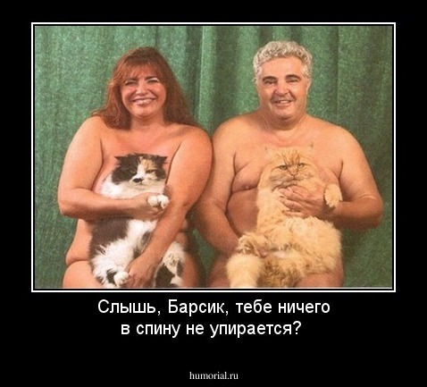 Слышь, Барсик,  тебе ничего в спину не упирается?
