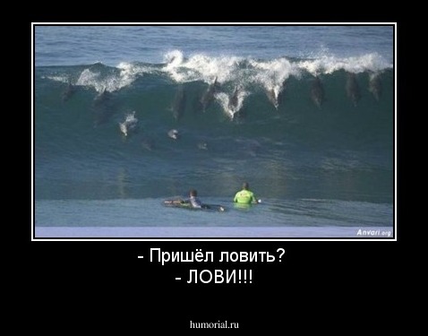 - Пришёл ловить? 
- ЛОВИ!!!