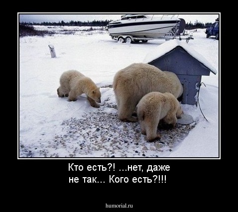 Кто есть?! ...нет, даже не так... Кого есть?!!!
