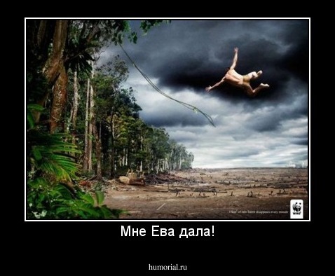 Мне Ева дала!