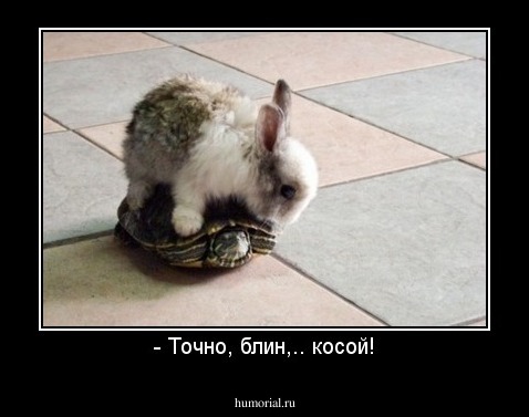 - Точно, блин,.. косой!