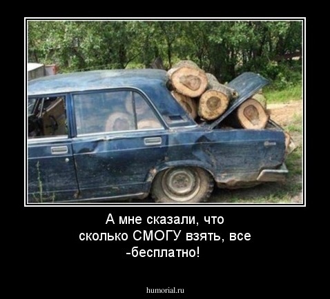 А мне сказали, что сколько СМОГУ взять, все -бесплатно!