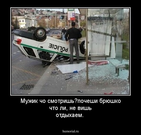 Мужик чо смотришь?почеши брюшко что ли, не вишь отдыхаем. 