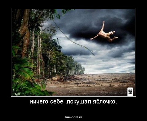 ничего себе ,покушал яблочко.