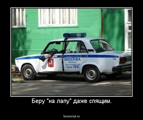 Беру "на лапу" даже спящим.
