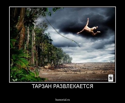 ТАРЗАН РАЗВЛЕКАЕТСЯ
