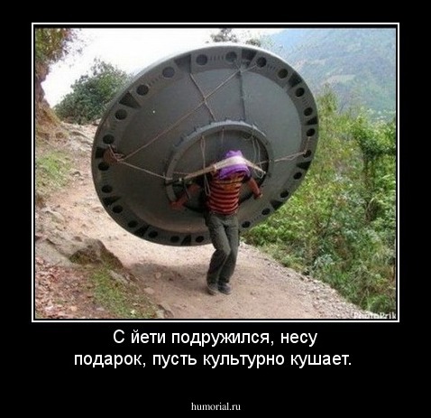 С йети подружился, несу подарок, пусть культурно кушает.