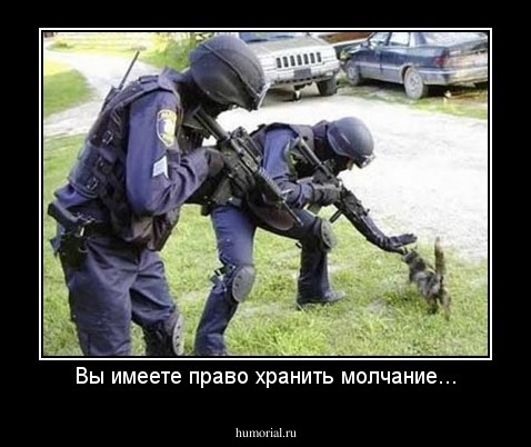 Вы имеете право хранить молчание...