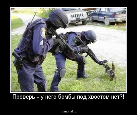 Проверь - у него бомбы под хвостом нет?!