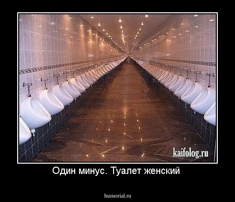 Один минус. Туалет женский 