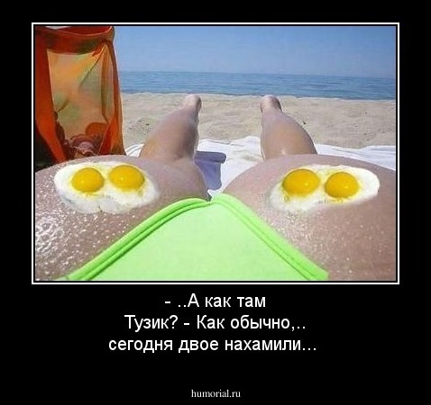 - ..А как там Тузик?  - Как обычно,.. сегодня двое нахамили... 
