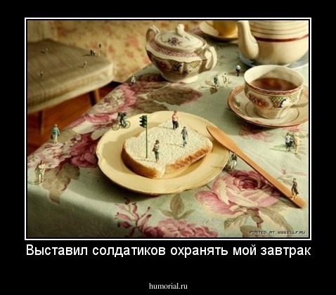 Выставил солдатиков охранять мой завтрак