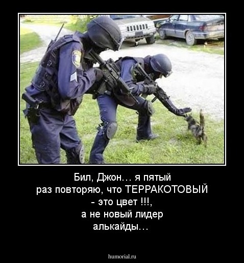 Бил, Джон… я пятый раз повторяю, что ТЕРРАКОТОВЫЙ - это цвет !!!, а не новый лидер алькайды…