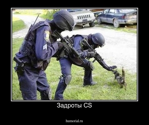 Задроты CS
