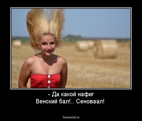  - Да какой нафиг Венский бал!.. Сеноваал!