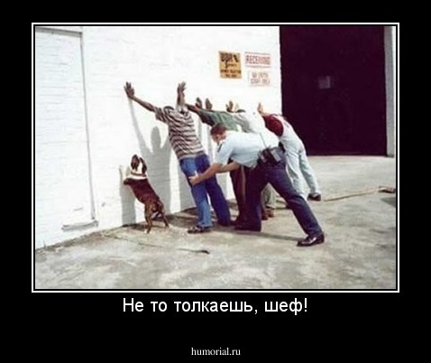 Не то толкаешь, шеф!