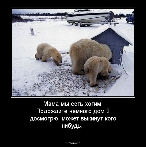 Мама мы есть хотим. Подождите немного дом 2 досмотрю, может выкинут кого нибудь.
