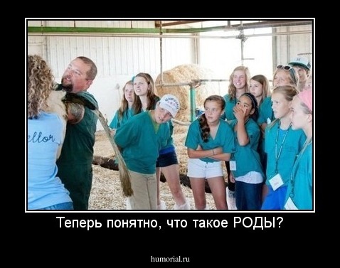Теперь понятно, что такое РОДЫ?