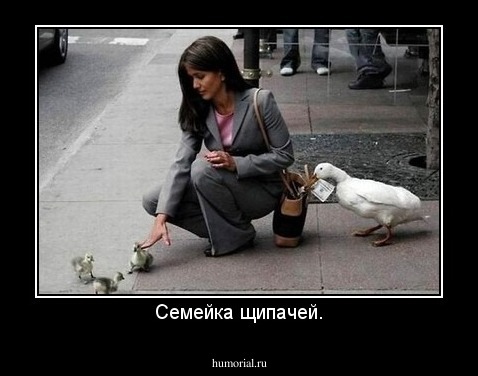 Семейка щипачей.