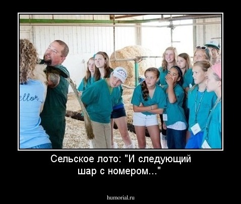 Сельское лото: "И следующий шар с номером..."