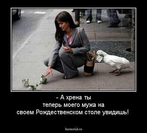 - А хрена ты теперь моего мужа на своем Рождественском столе увидишь!