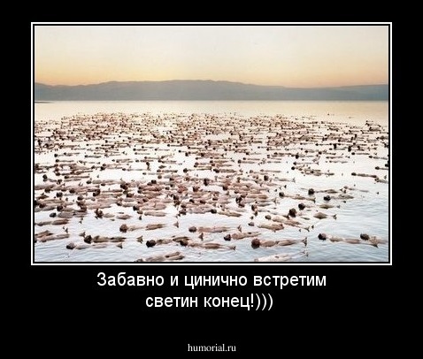 Забавно и цинично встретим светин конец!)))