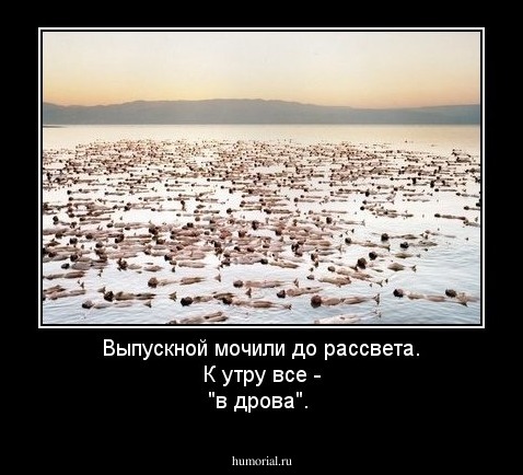Выпускной мочили до рассвета. К утру  все - "в дрова".
