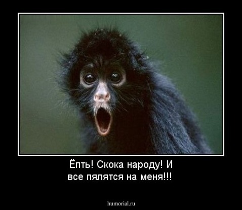Ёпть! Скока народу! И все пялятся на меня!!!