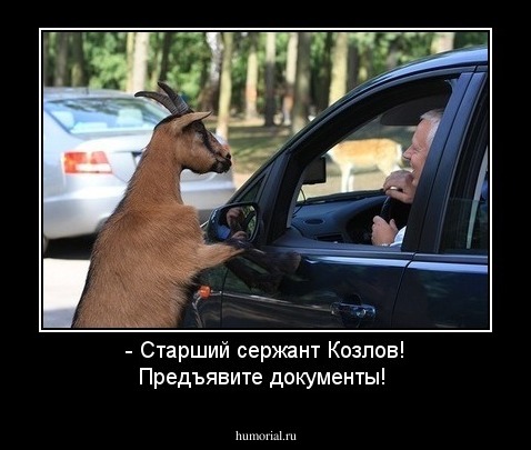 - Старший сержант Козлов! Предъявите документы!