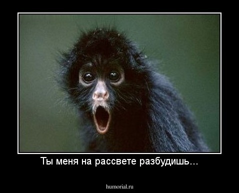 Ты меня на рассвете разбудишь...