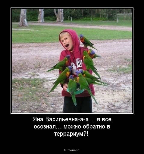 Яна Васильевна-а-а… я все осознал… можно обратно в террариум?!