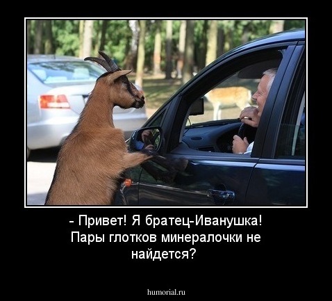 - Привет! Я братец-Иванушка! Пары глотков минералочки не найдется?