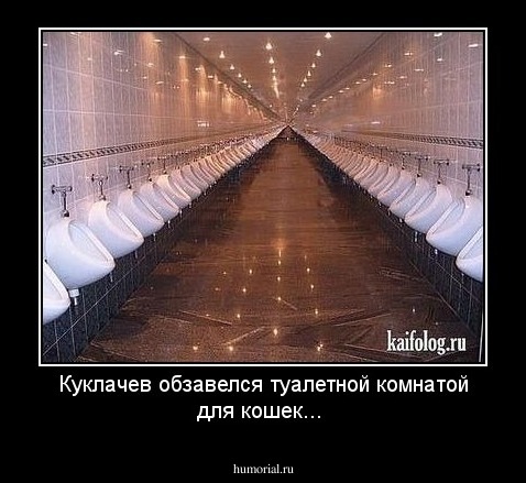 Куклачев обзавелся туалетной комнатой для кошек...