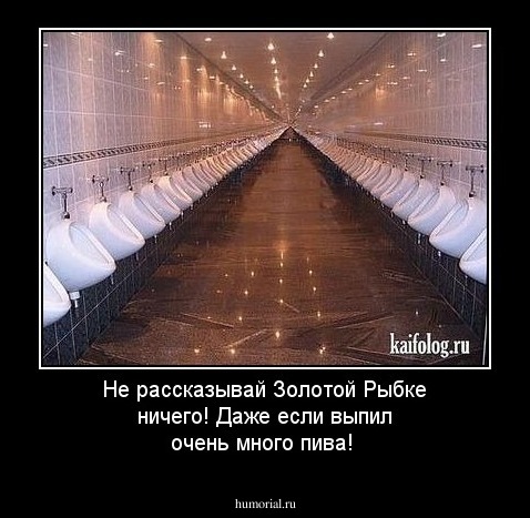 Не рассказывай Золотой Рыбке ничего! Даже если выпил очень много пива!