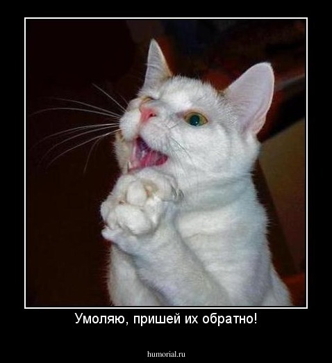 Умоляю, пришей их обратно!