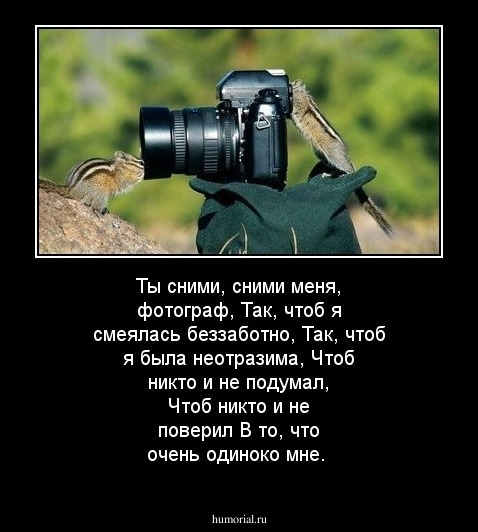 Ты сними, сними меня, фотограф, 
Так, чтоб я смеялась беззаботно,
Так, чтоб я была неотразима,
Чтоб никто и не подумал,
Чтоб никто и не поверил
В то, что очень одиноко мне.