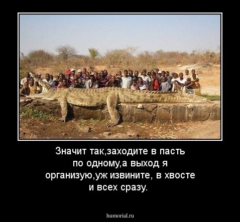 Значит так,заходите в пасть по одному,а выход я организую,уж извините, в хвосте и всех сразу.